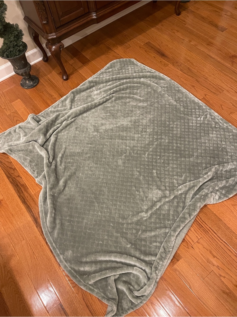 Berkshire Blanket & Home Co. Soft Light Sage Green Plush Throw Blanket